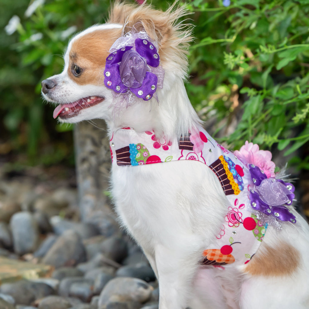 Cupcake With A Cherry On Top Luxury Dog Harness