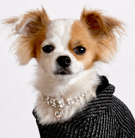 Silver Striped Dog Hoodie
