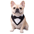 Black Ceremony Tuxedo Bandana