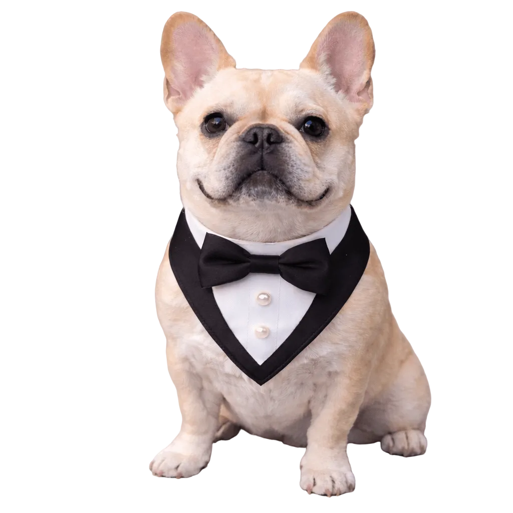 Black Ceremony Tuxedo Bandana