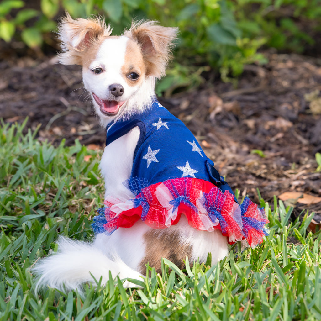 Star-Spangled Patriotic Dog Dress