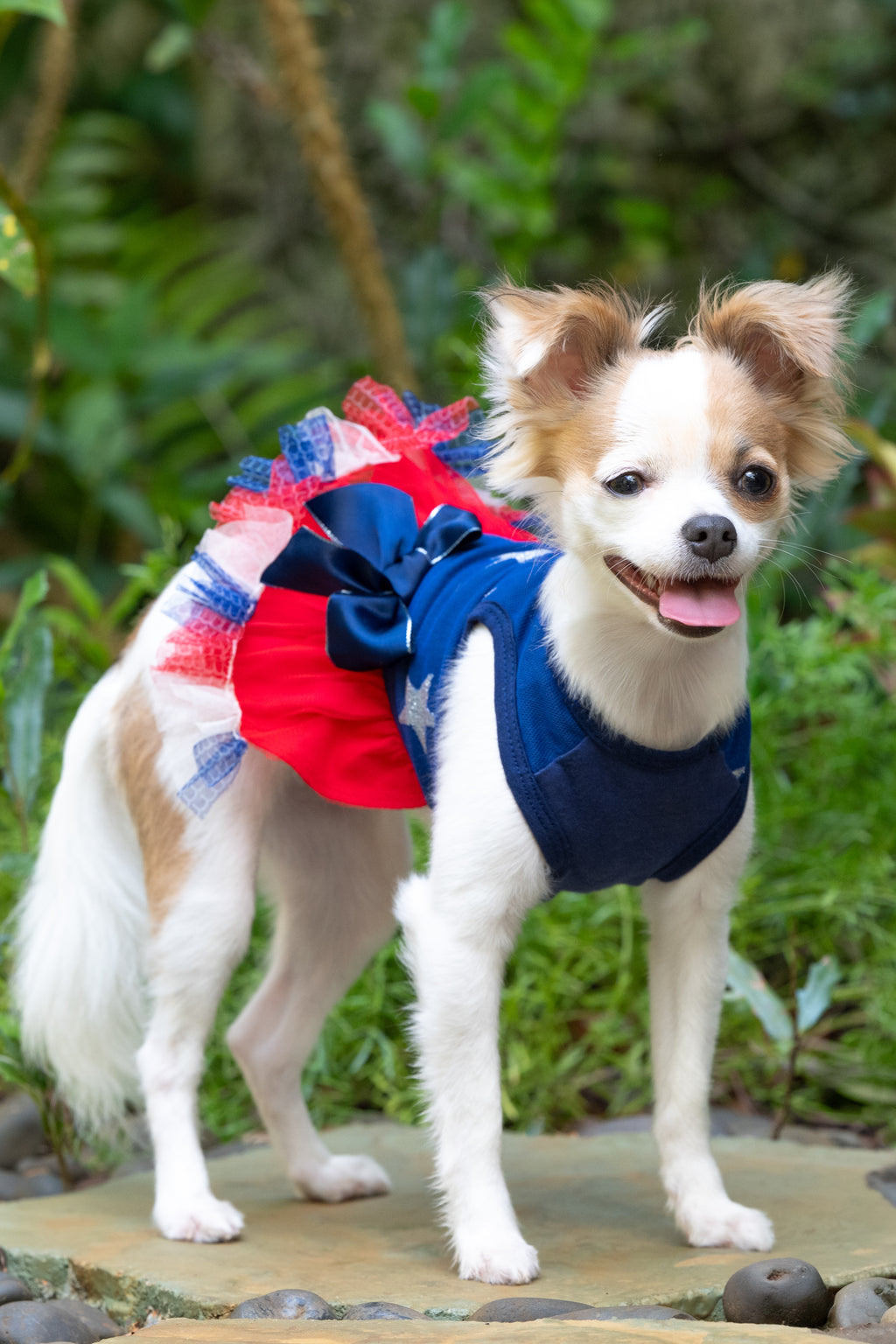 Star-Spangled Patriotic Dog Dress