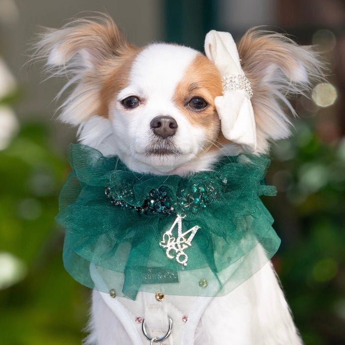 SIGNATURE: GREEN WITH ENVY