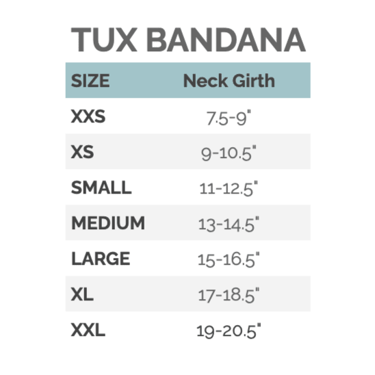 Blue Ceremony Tuxedo Bandana