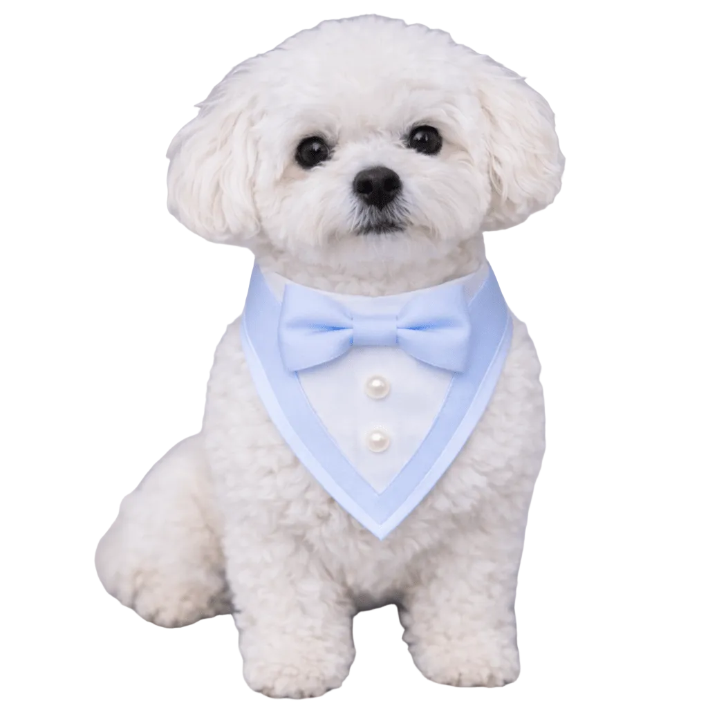 Blue Ceremony Tuxedo Bandana