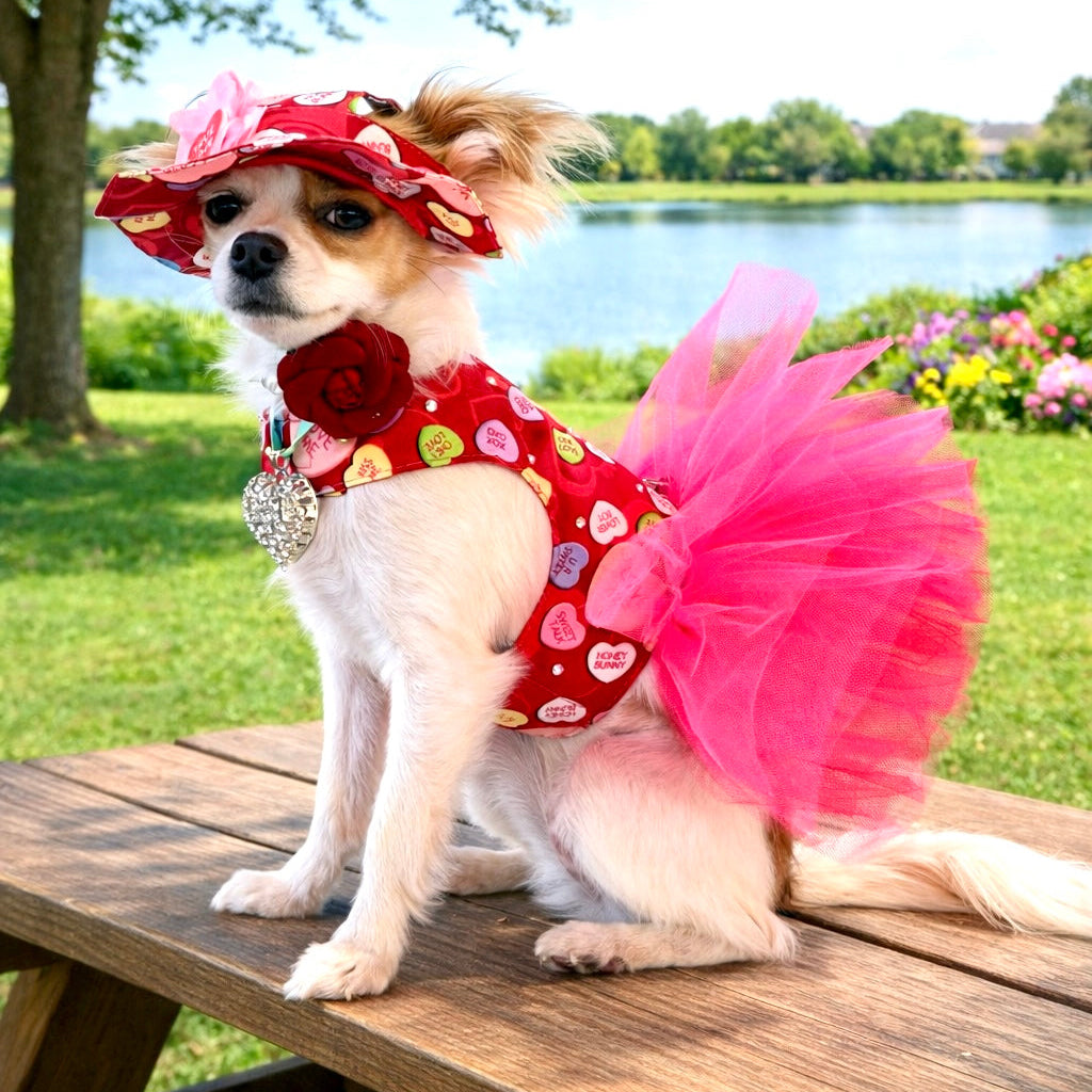 Conversation Hearts Couture Dog Dress