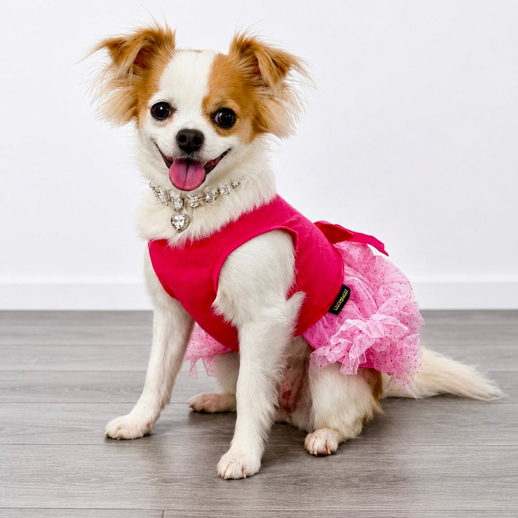 Barkday Queen Tutu Dress