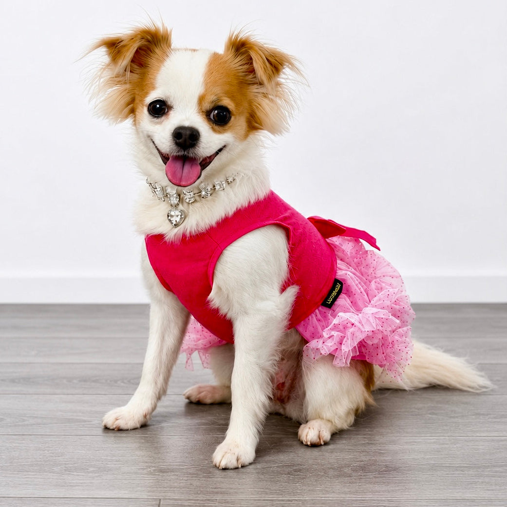 Barkday Queen Tutu Dress