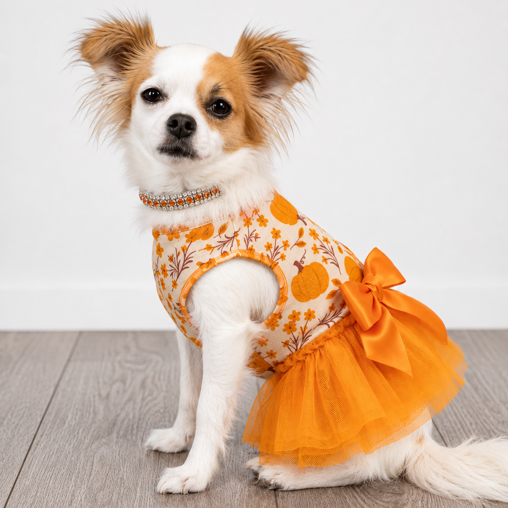 Pumpkin Tutu Dress