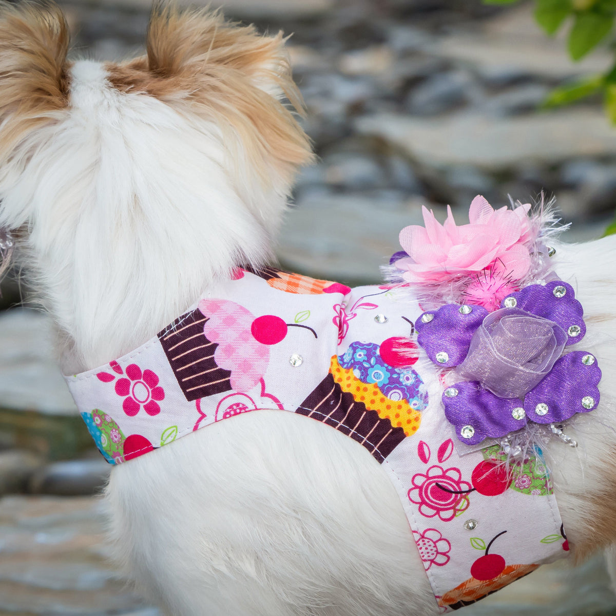 Cupcake With A Cherry On Top Luxury Dog Harness