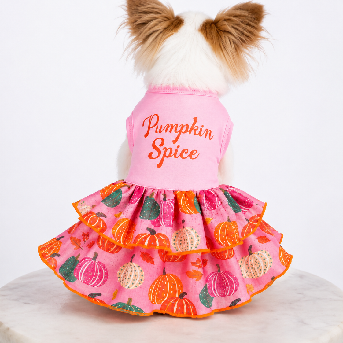 Pumpkin Spice Dress