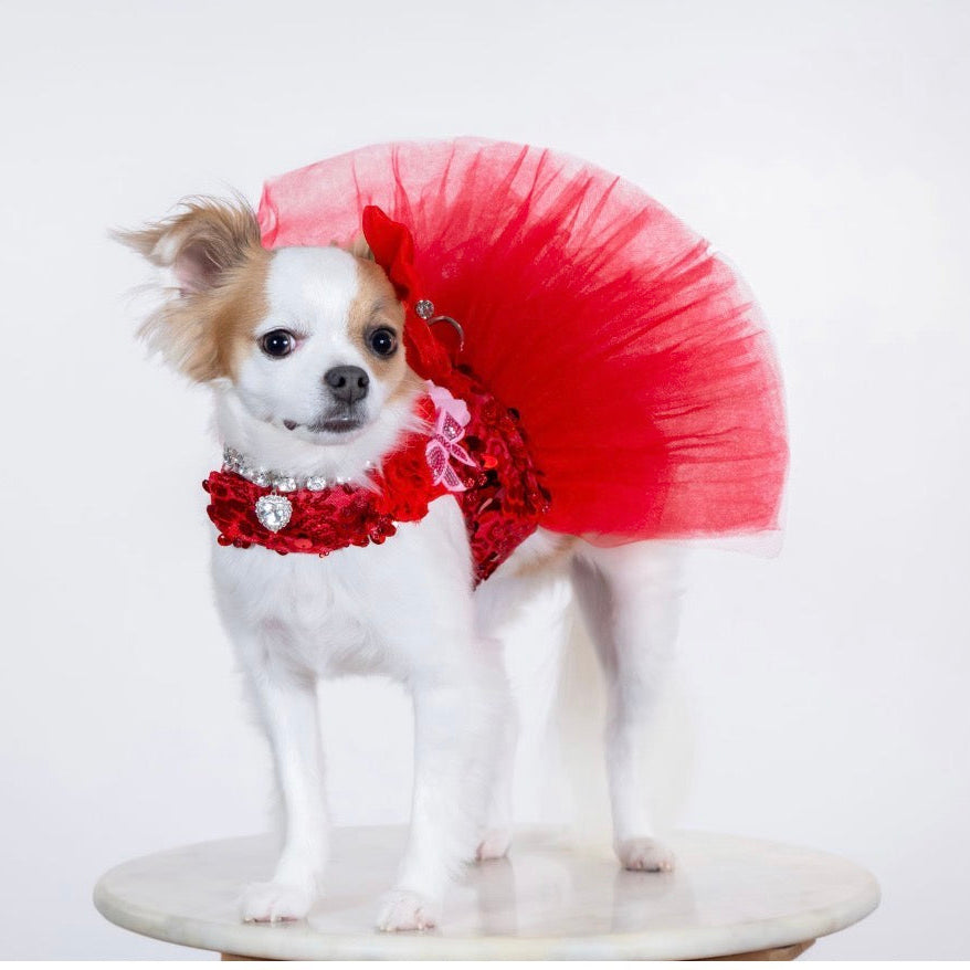 Red Sparkle Couture Dog Dress