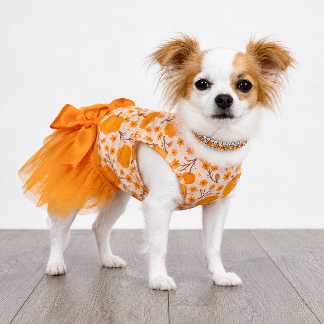 Pumpkin Tutu Dress