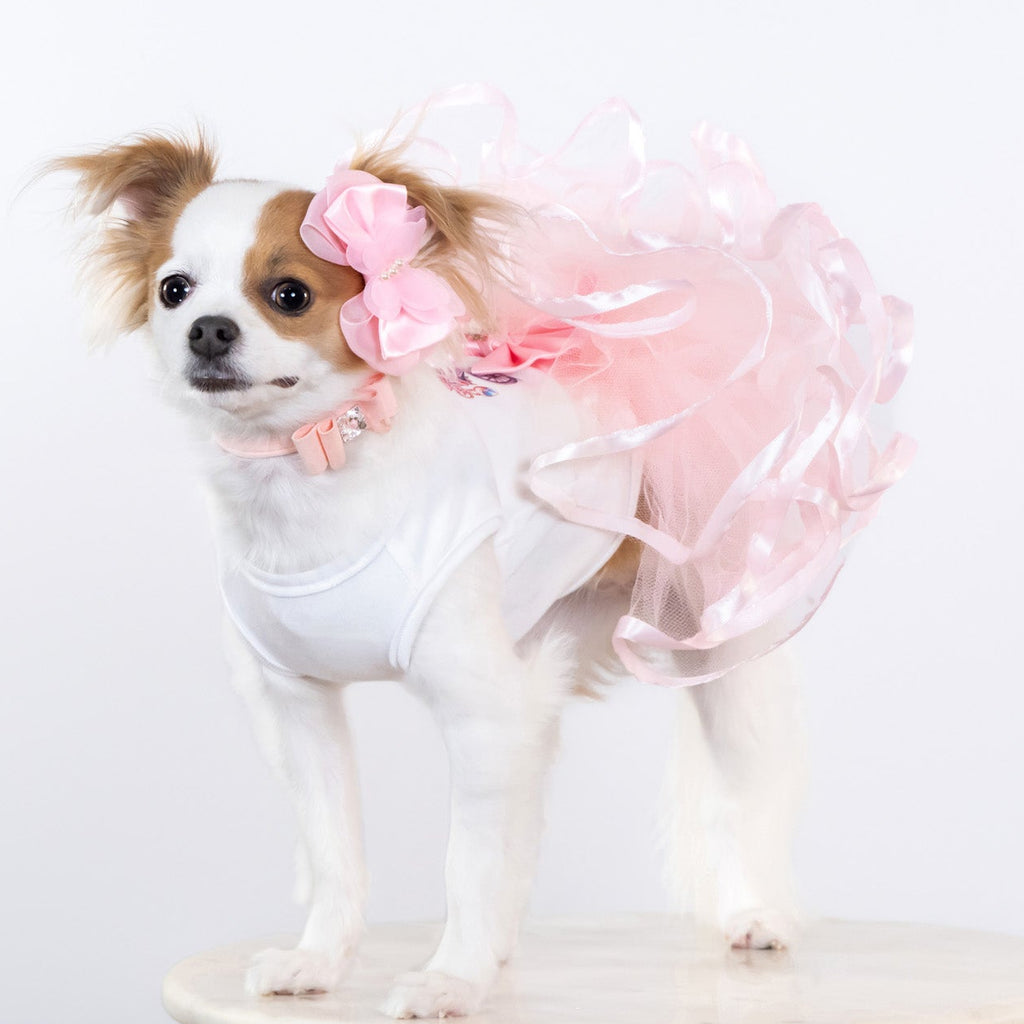 Goddess Dog Tutu Collection - In 3 Curated Styles