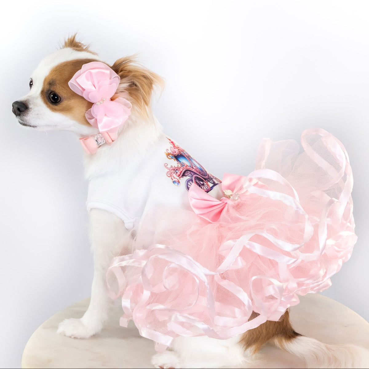 Goddess Dog Tutu Collection - In 3 Curated Styles