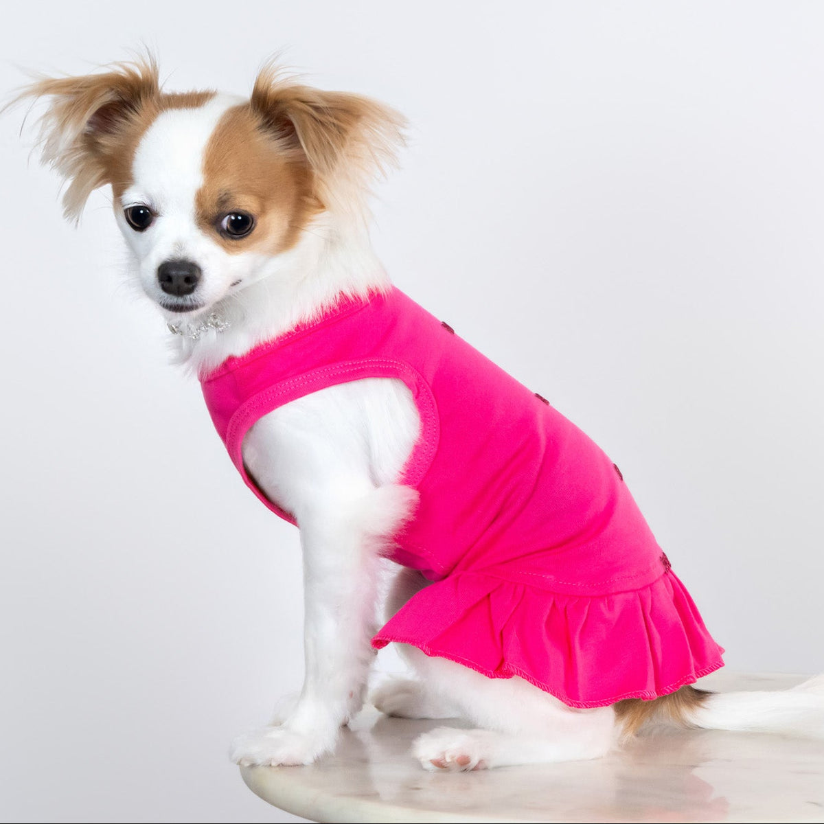 Candy Dog Dress Collection - Available in 4 Curated Colorways