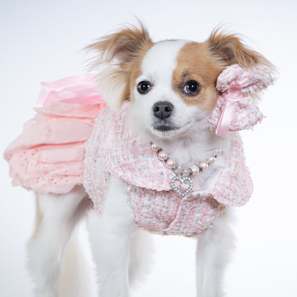 Parisian Blush Tweed Couture Dress
