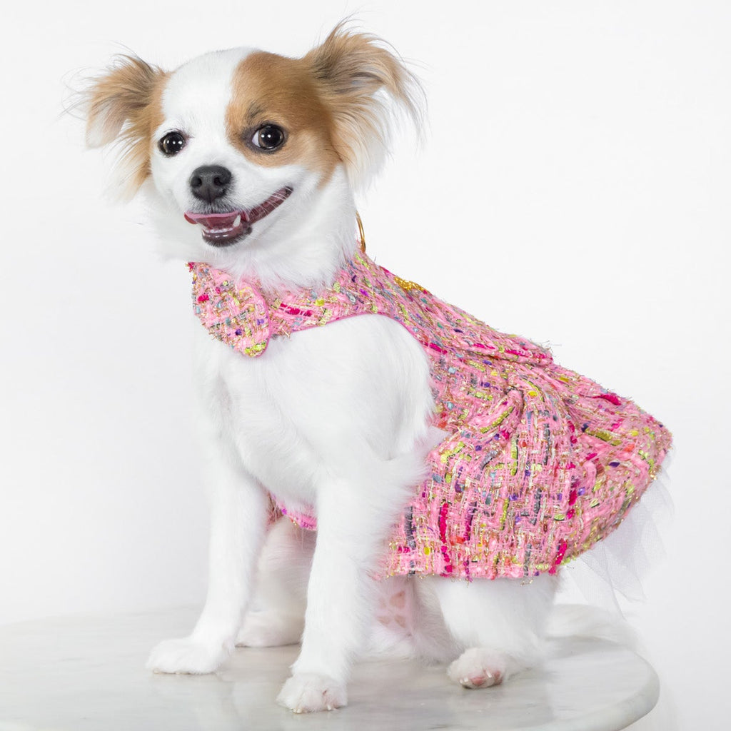 Parisian Tweed Luxury Harness Dress
