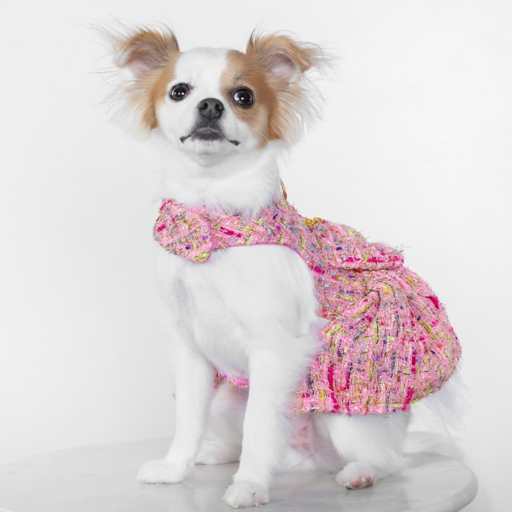 Parisian Tweed Luxury Harness Dress