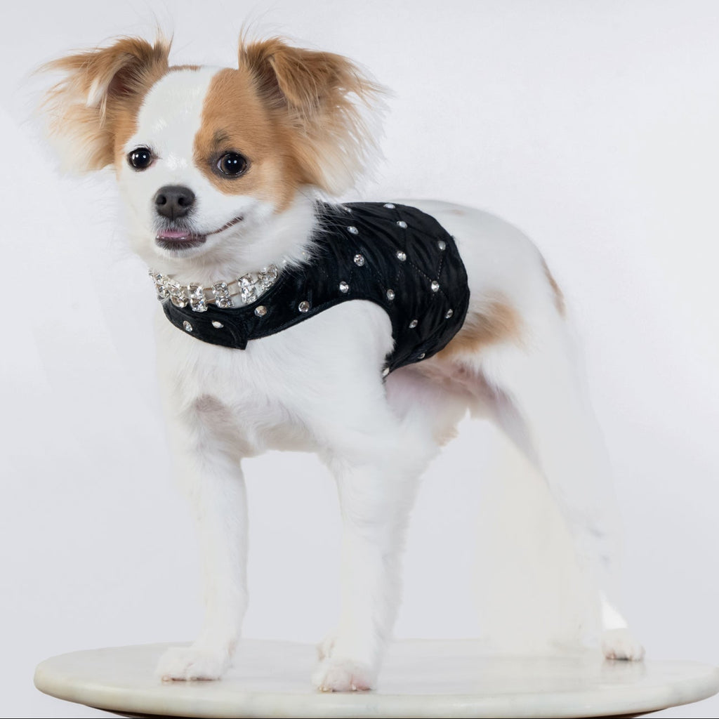 Glamour Baby Harness - In 3 Curated Colorways