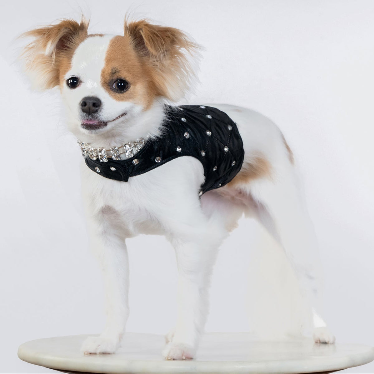 Glamour Baby Harness - In 3 Curated Colorways