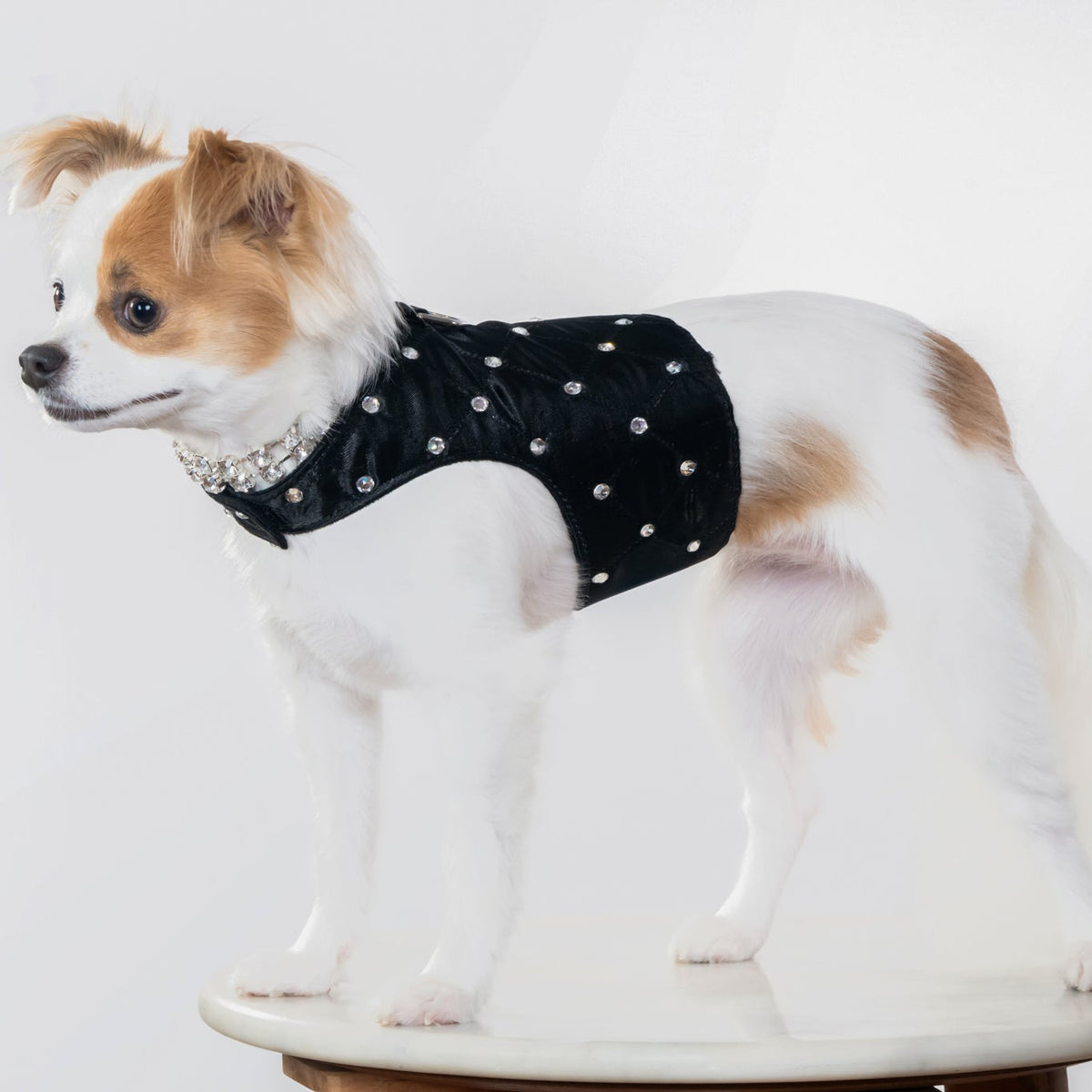 Glamour Baby Harness - In 3 Curated Colorways