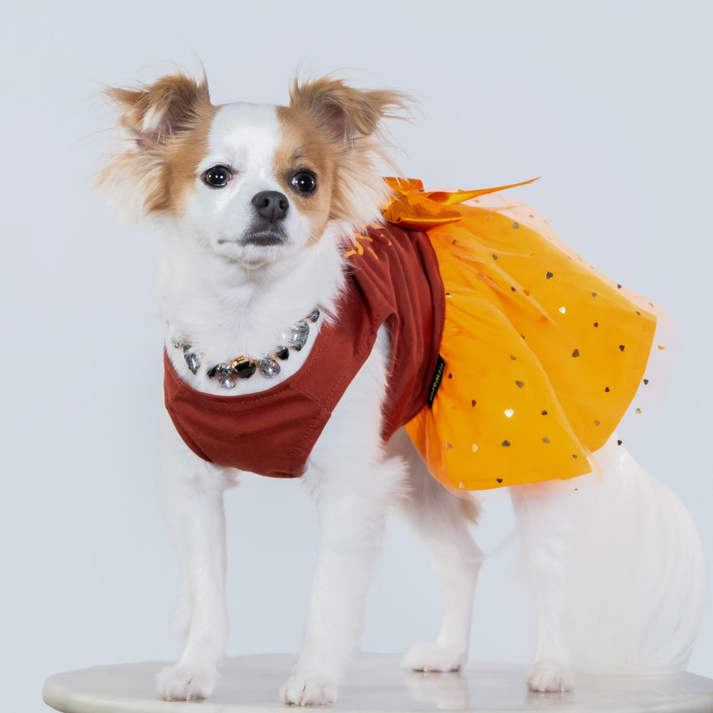 Fall In Love Tutu Dress
