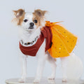 Fall In Love Tutu Dress