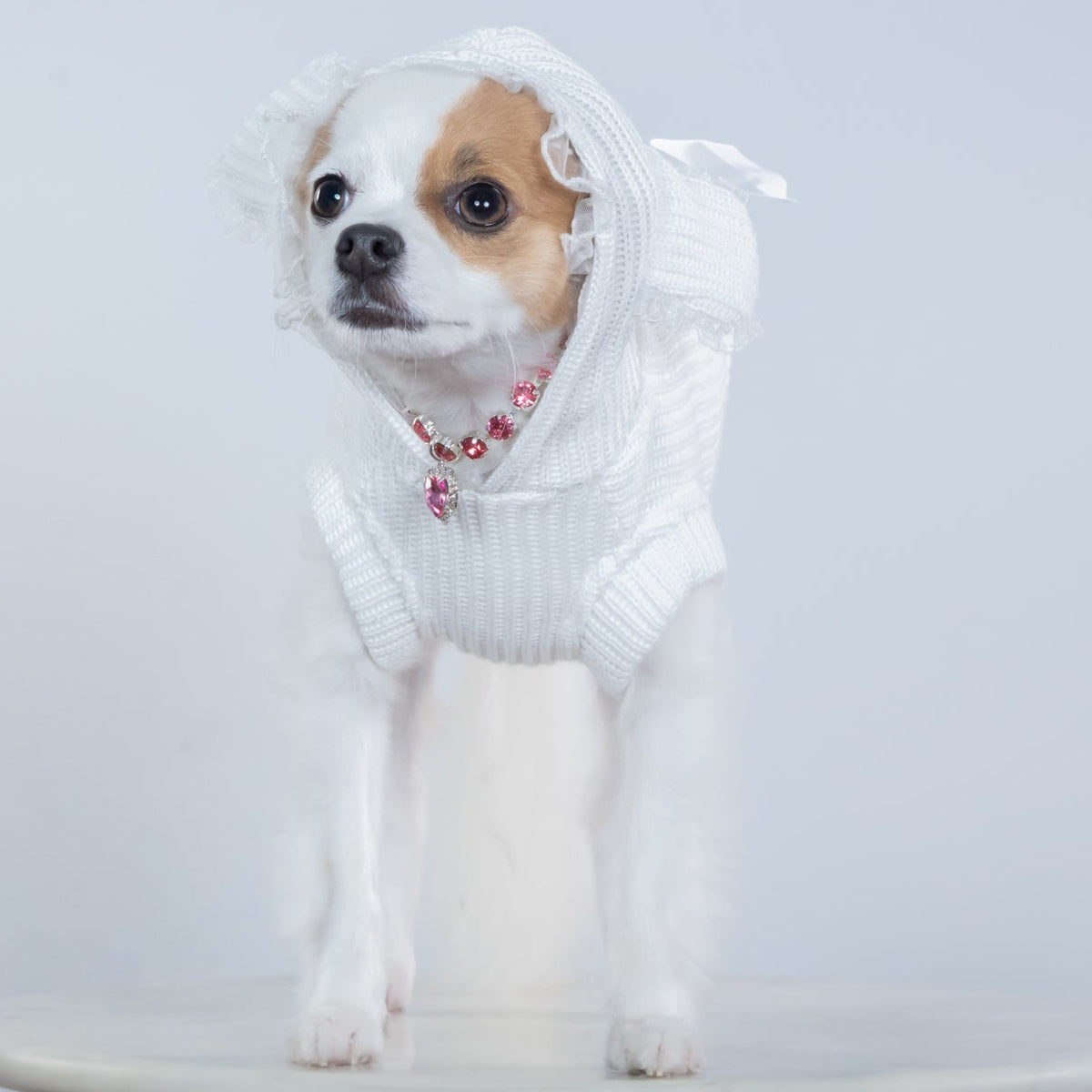 Whimsy Knit Sweater - In 2 Curated Colorways