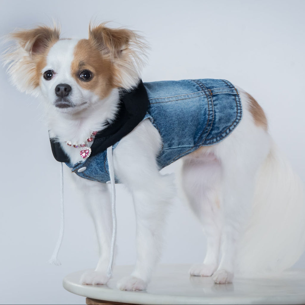 Denim Dusk Hooded Harness Vest