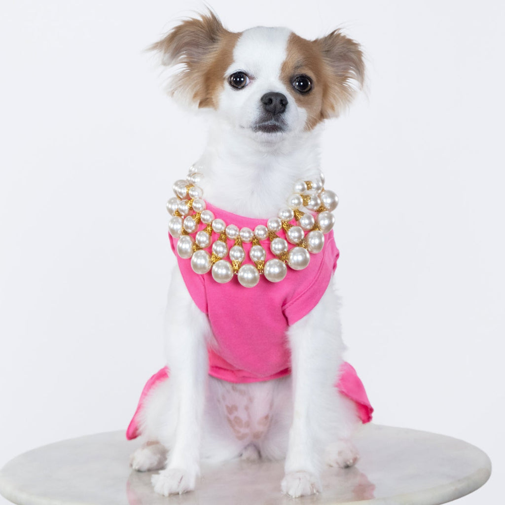 Barbie Silhouette Tutu Dog Dress