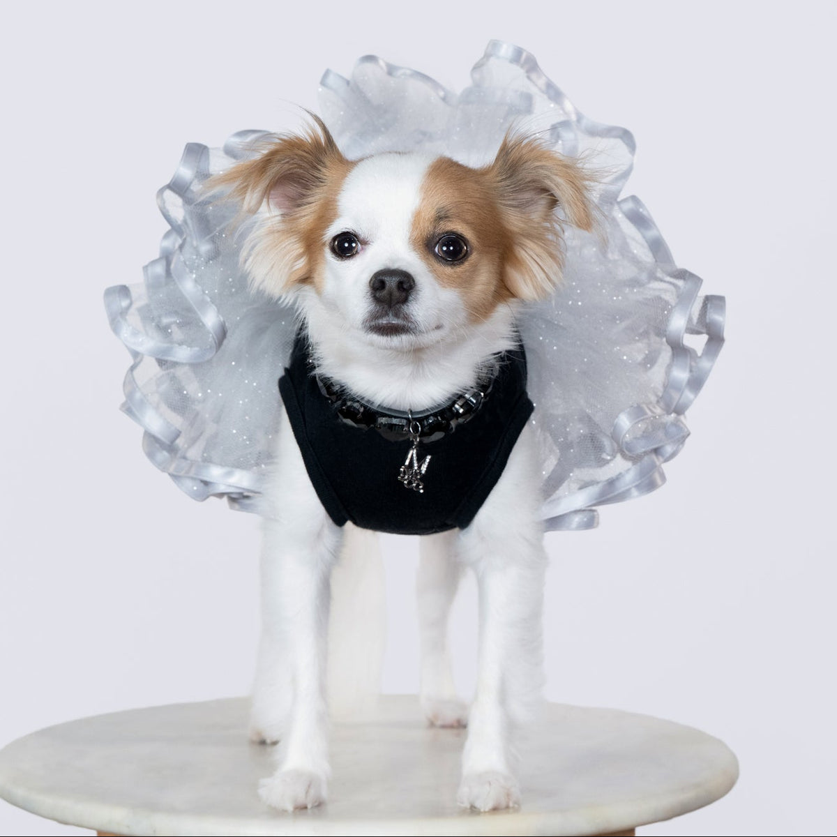 Goddess Dog Tutu Collection - DEVA