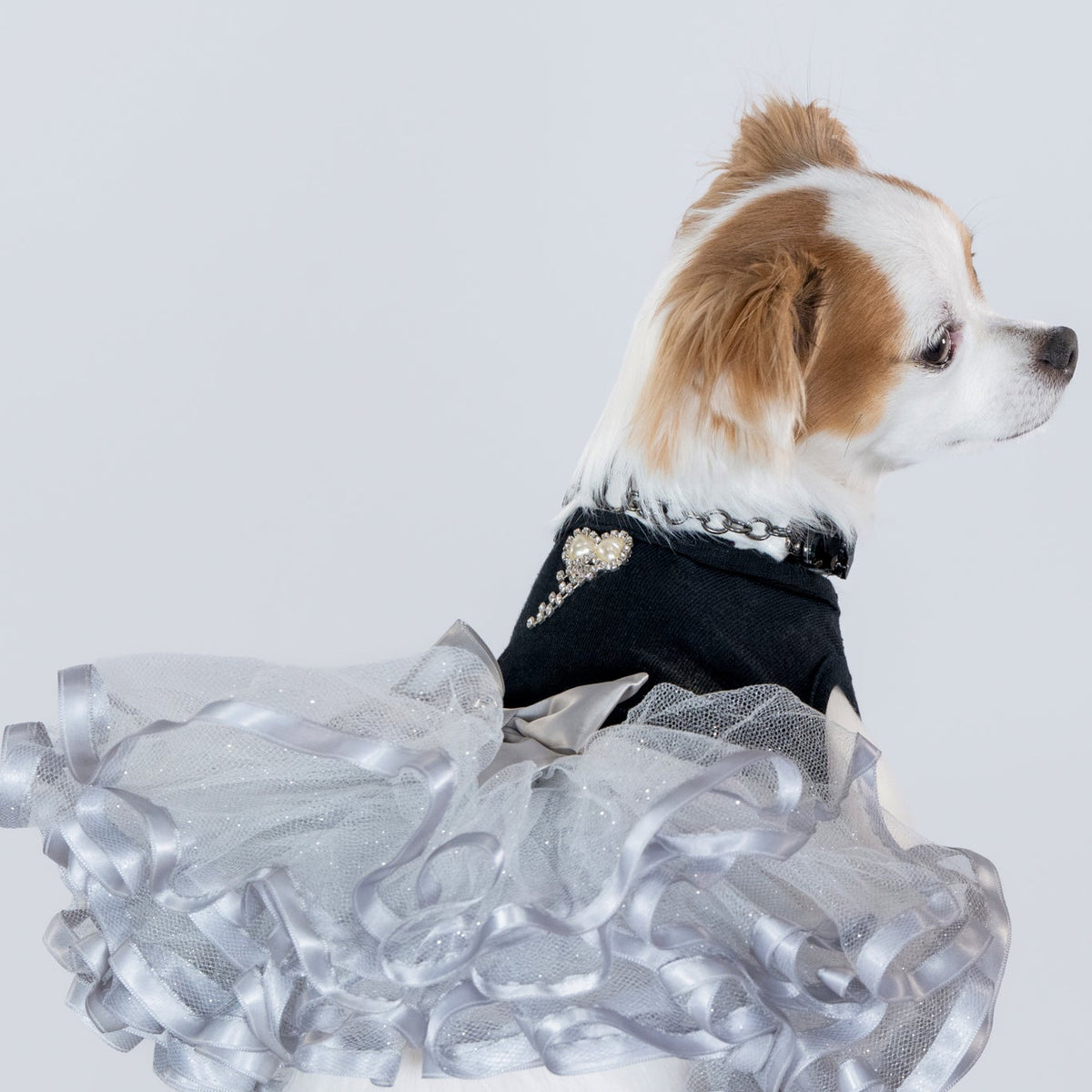Goddess Dog Tutu Collection - DEVA