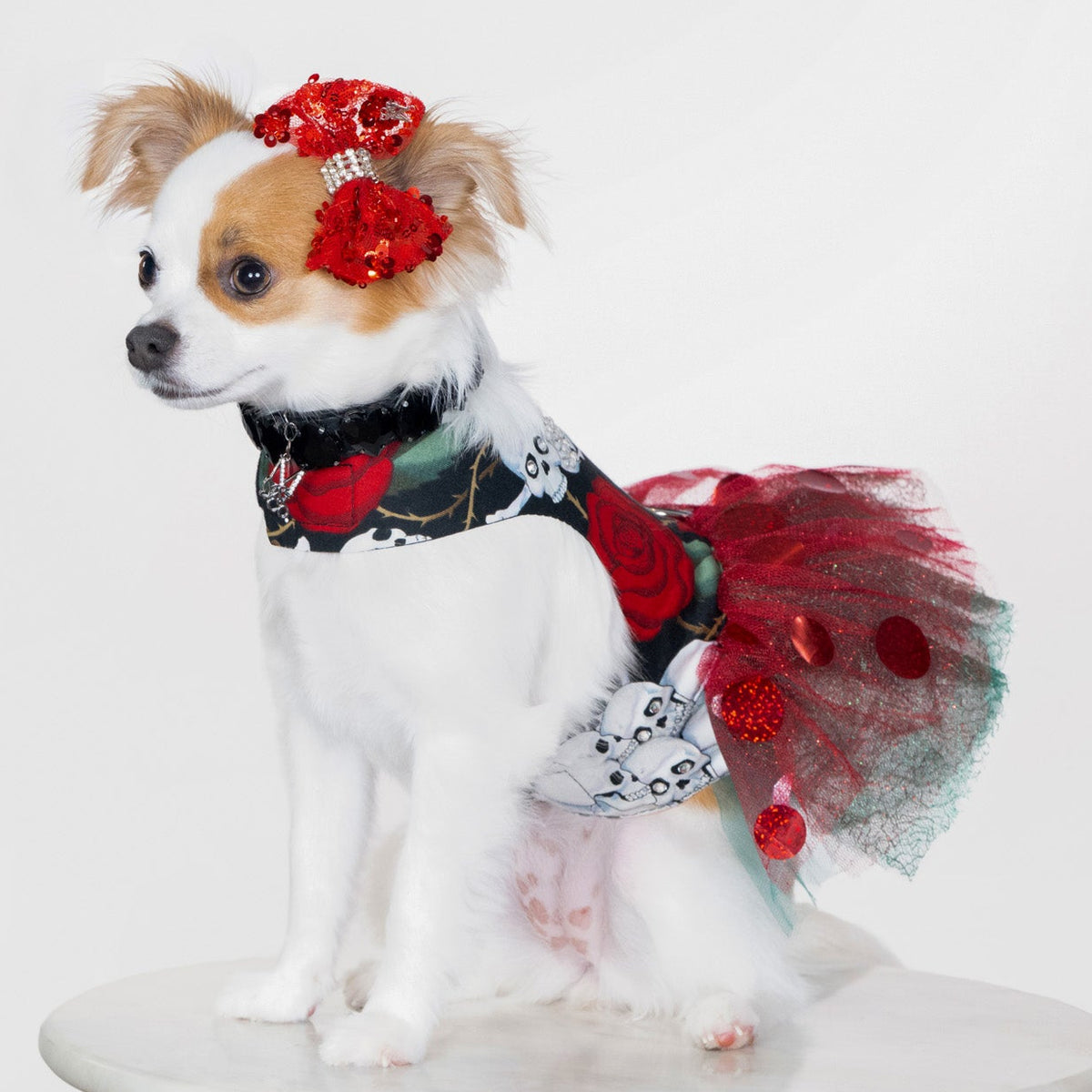 Skulls & Roses Punk Rock Tutu Dress