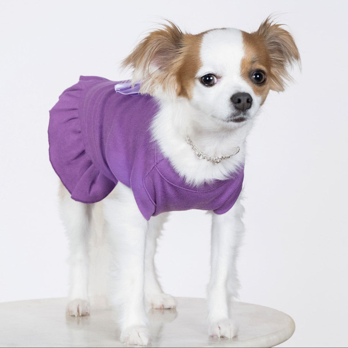 Amethyst Grande Bow Dress