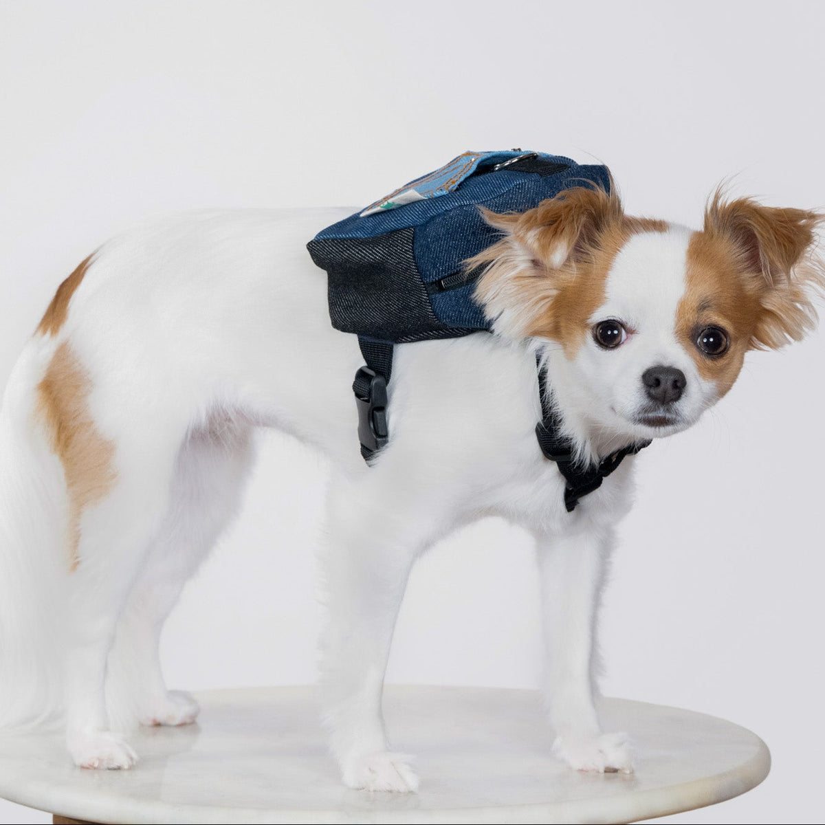 The Curated Denim Adventure Pack