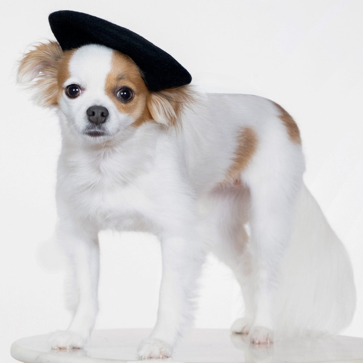 Parisian Charm Beret - Black