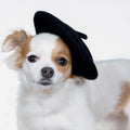 Parisian Charm Beret - Black