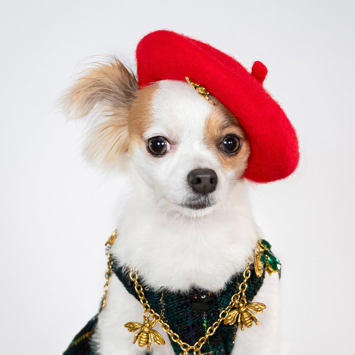 Parisian Charm Beret - Red