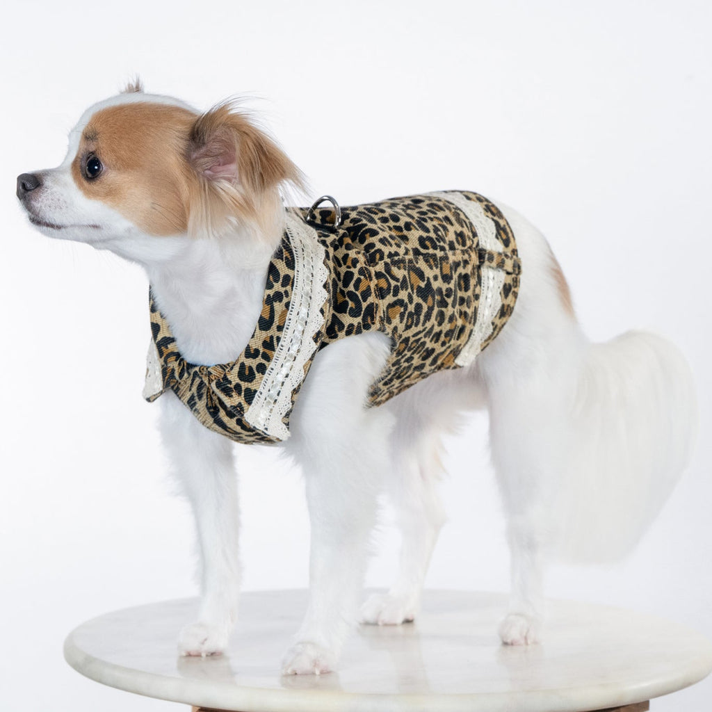 Leopard Print Autumn Vest
