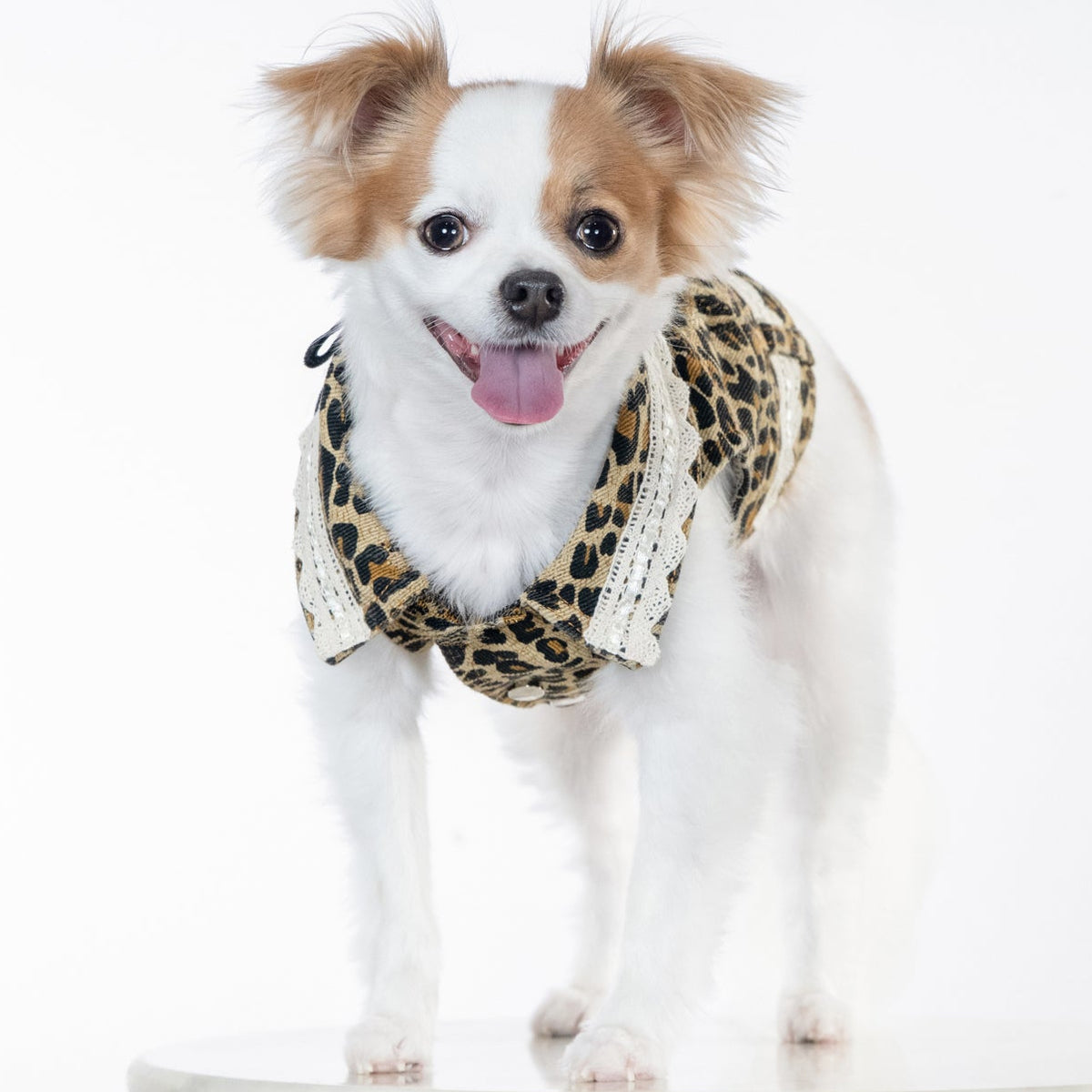 Leopard Print Autumn Vest
