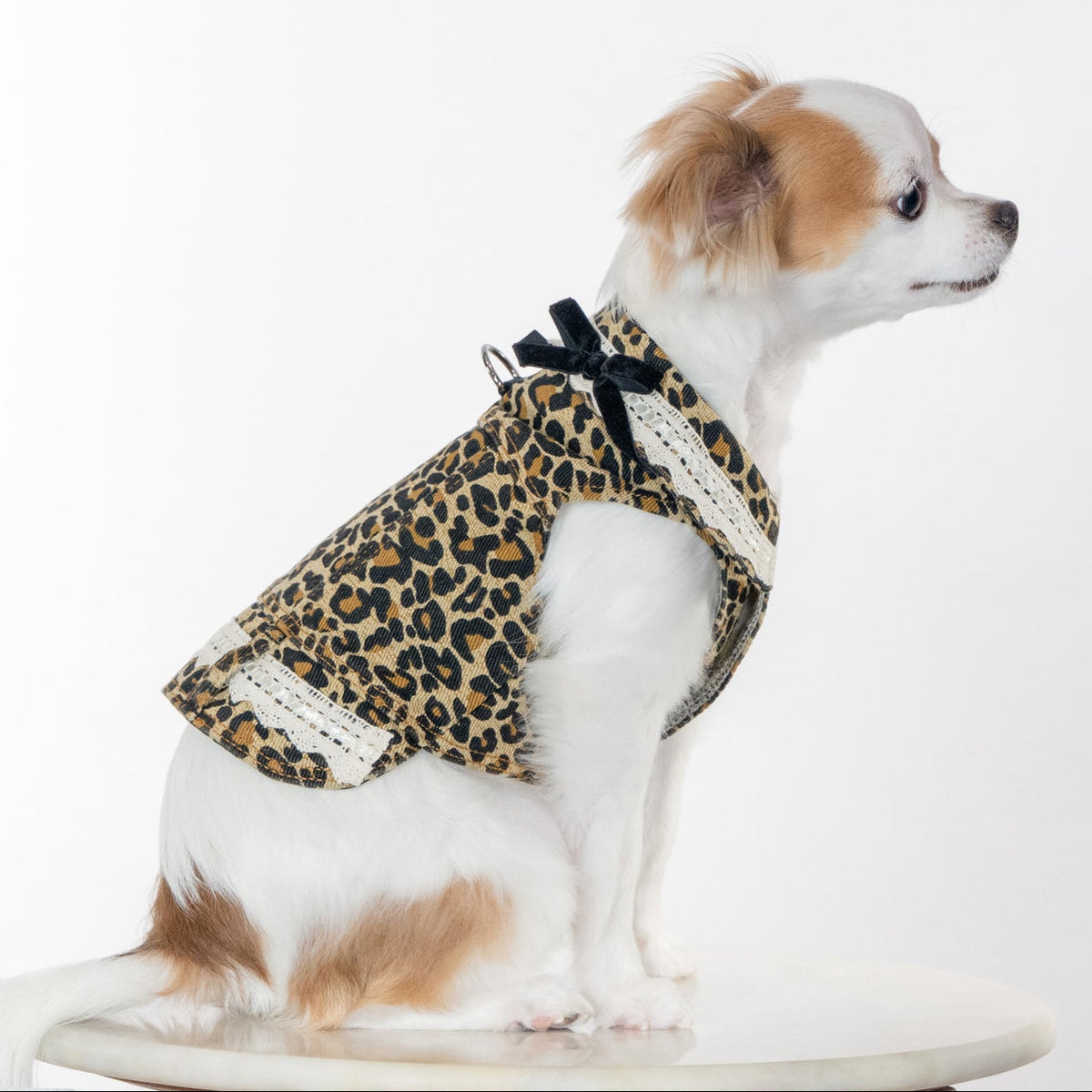 Leopard Print Autumn Vest