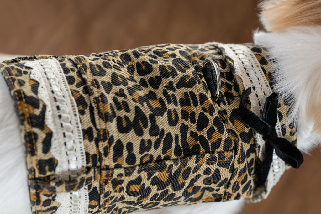 Leopard Print Autumn Vest