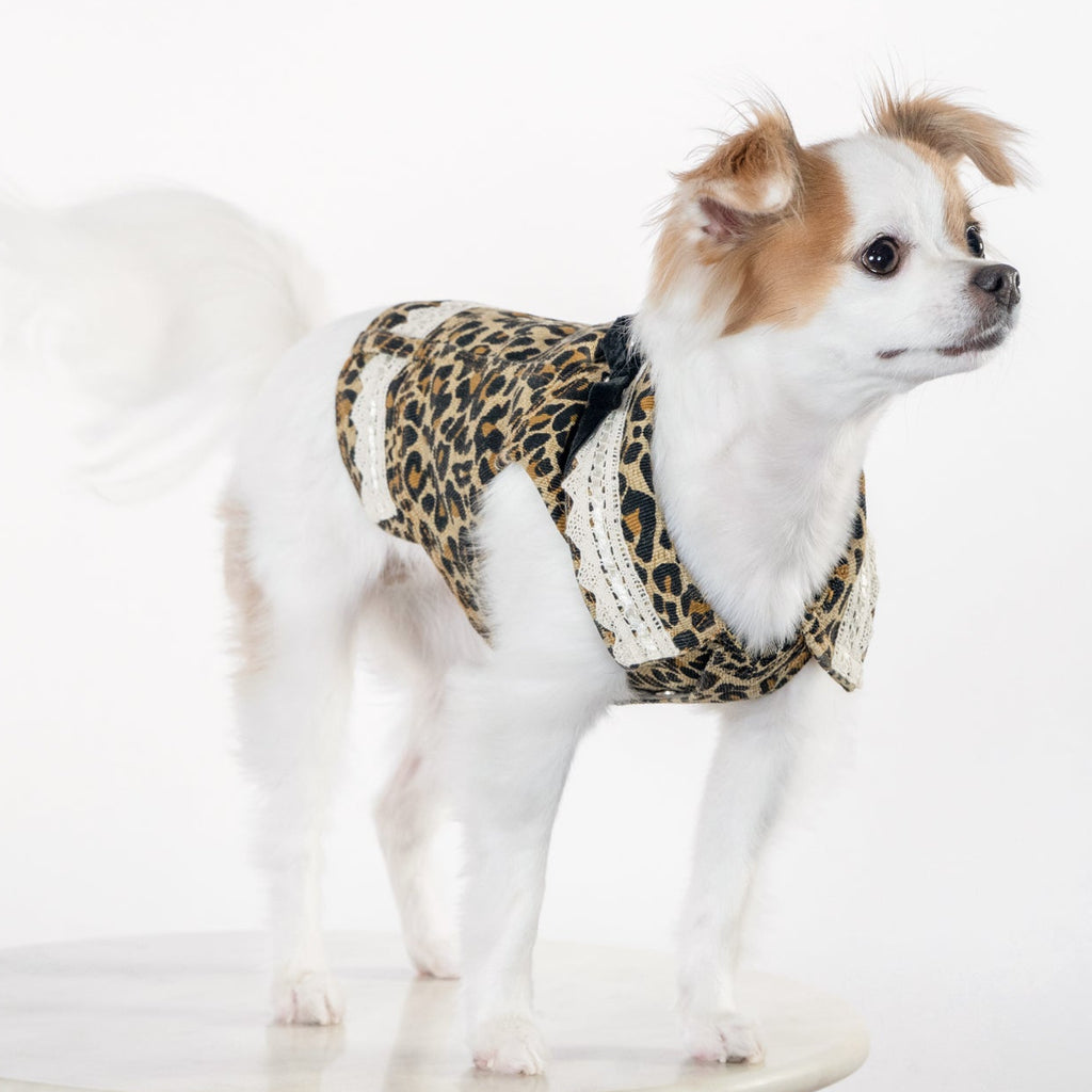 Leopard Print Autumn Vest