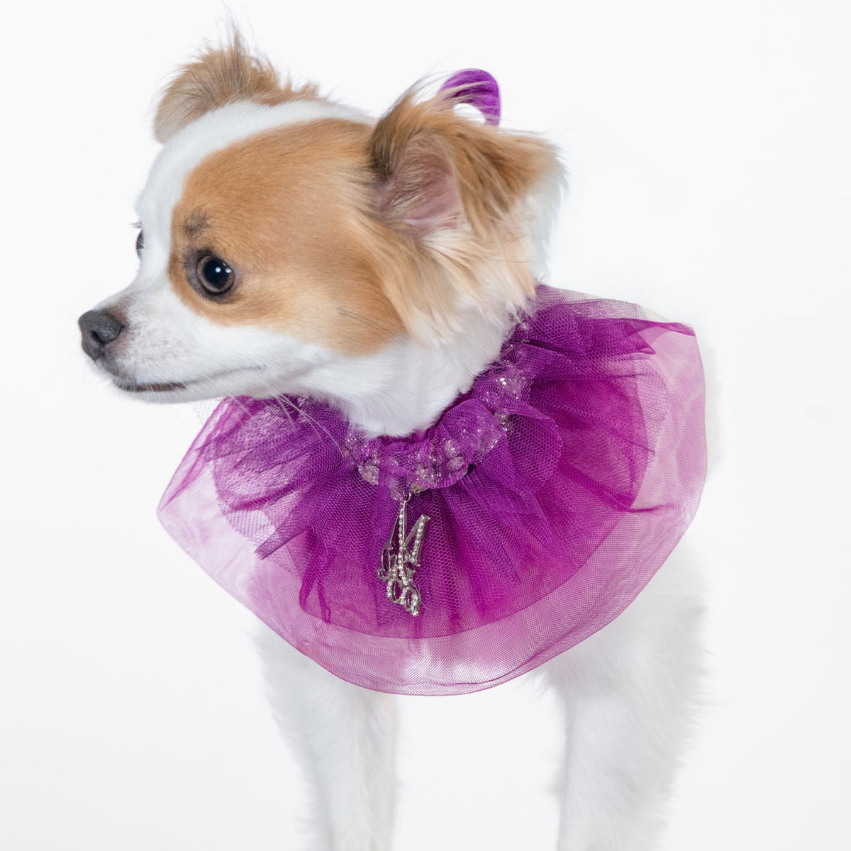 ATELIER COLLECTION: THE ROYAL MUSE