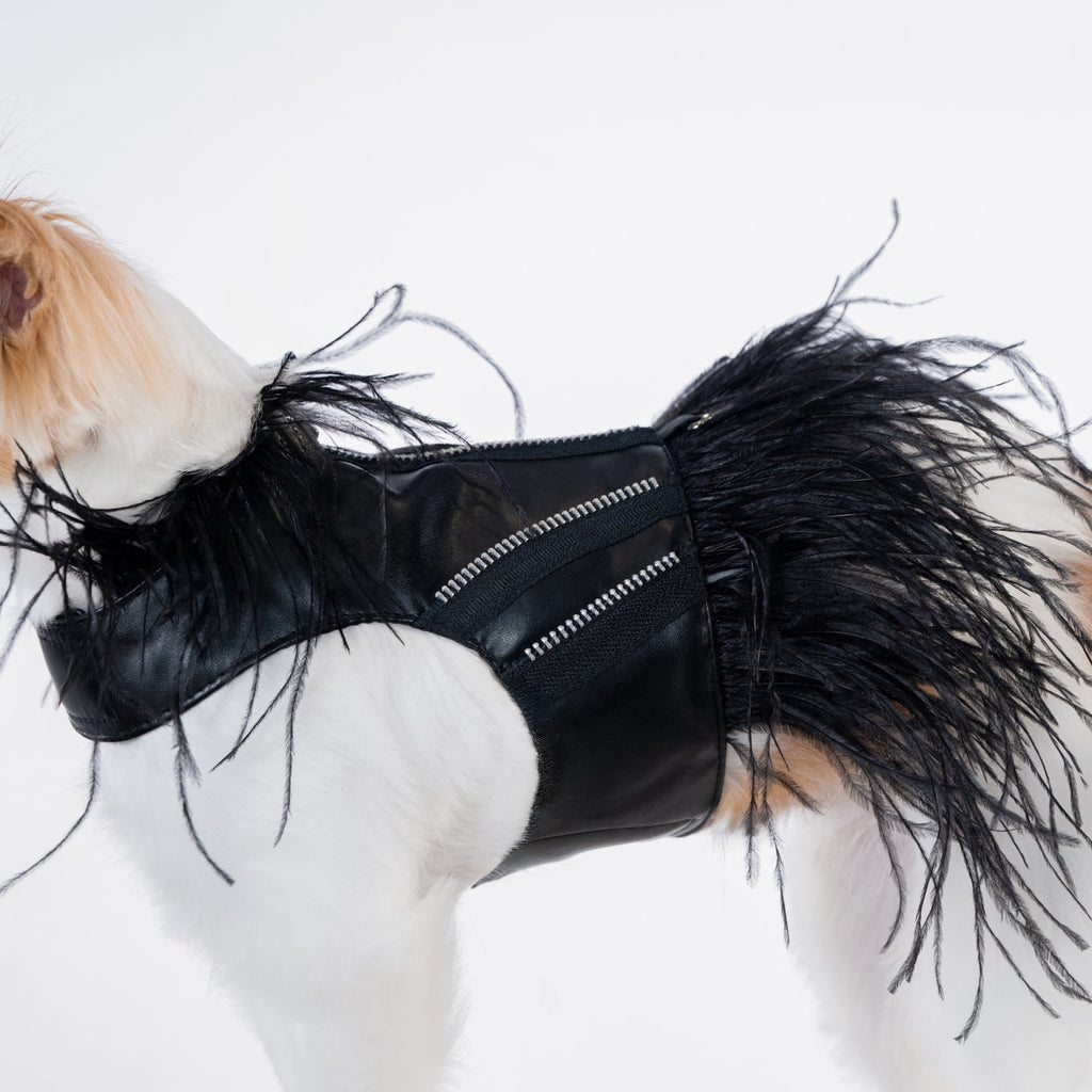 Black Swan Vegan Leather Zipper Dress