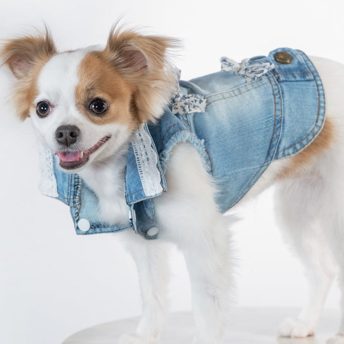 Blue Vest with Blue Mini Bows