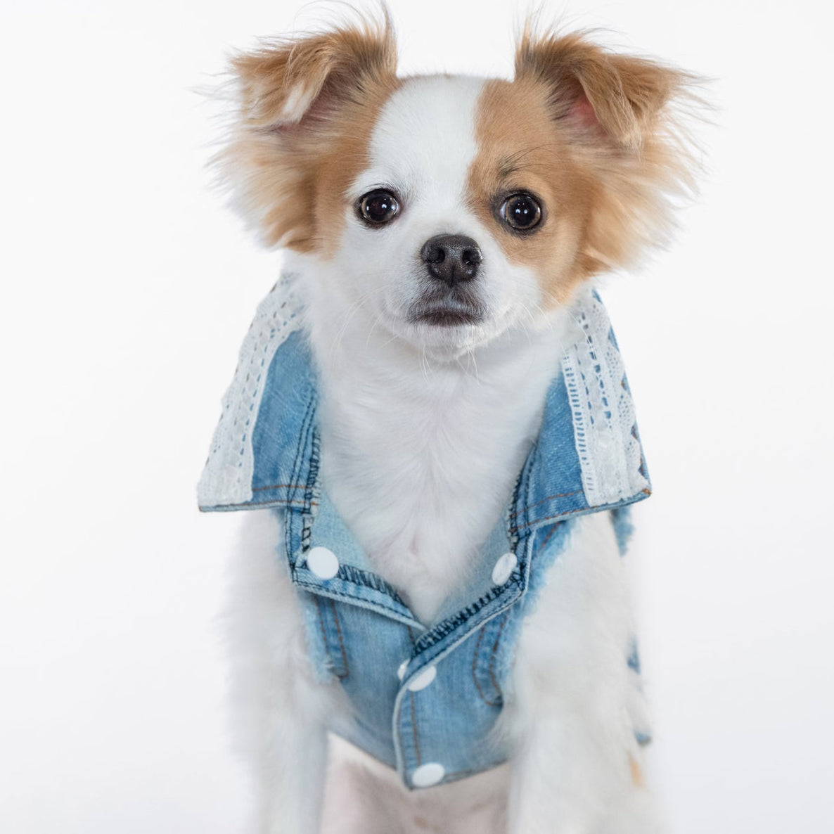 Blue Vest with Blue Mini Bows