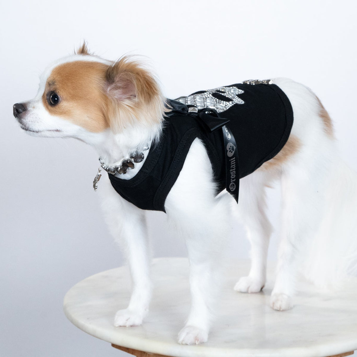 Black Crystal Skull Couture Dog Tank