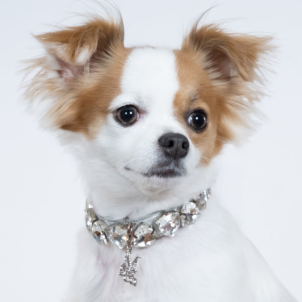 SIGNATURE GEM NECKLACE: THE DELILAH